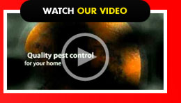 Watch our Video